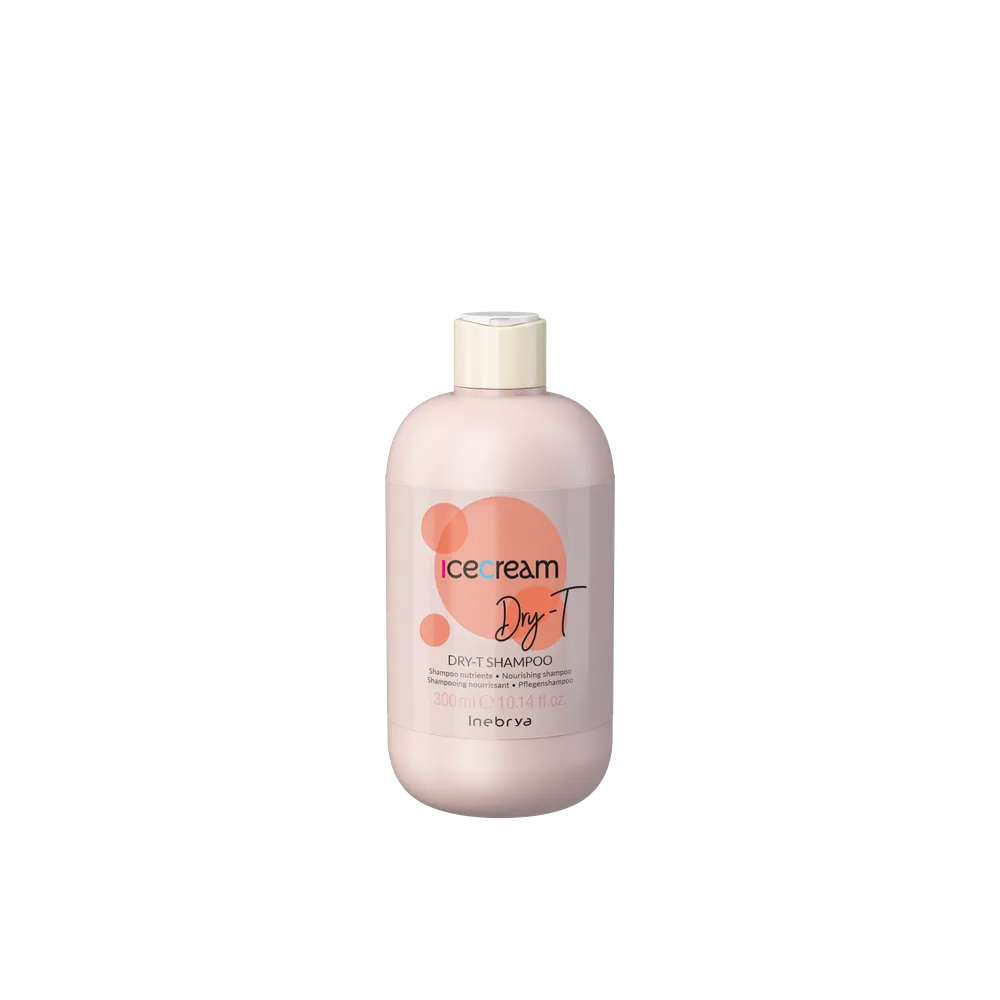 Shampoon Inebrya Dry-T